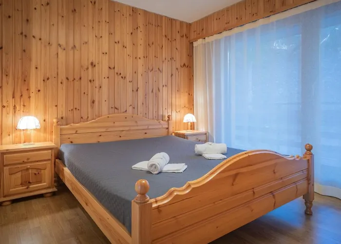 Austral 204 By Interhome * Ovronnaz