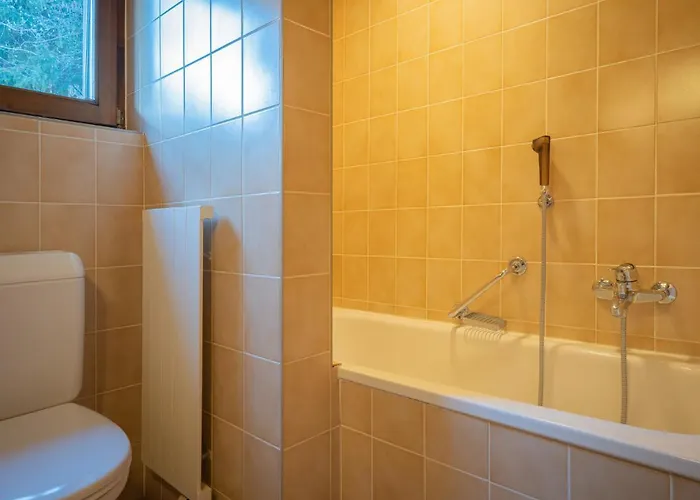 Austral 204 By Interhome Apartmán